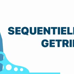 Ein Schaltknüppel illustriert, was ein sequentielles Getriebe ist.